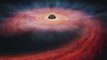 Astronomers Discovers A Black Hole Destroying A Huge Star