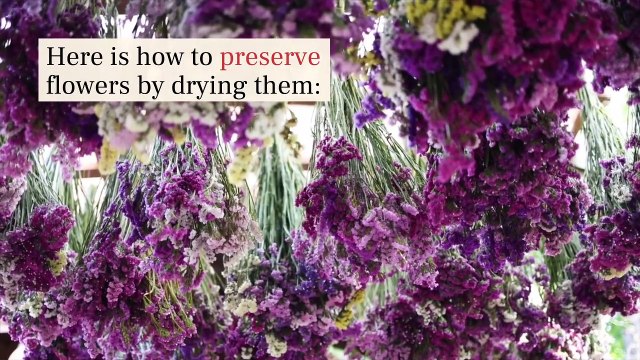 4 Ways To Dry Flowers To Preserve Their Beauty