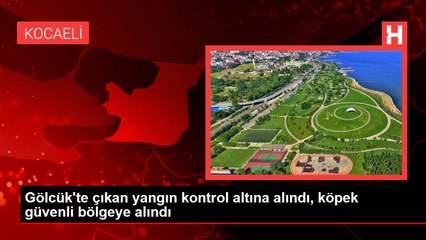Gölcük'te çıkan yangın kontrol altına alındı, köpek güvenli bölgeye alındı
