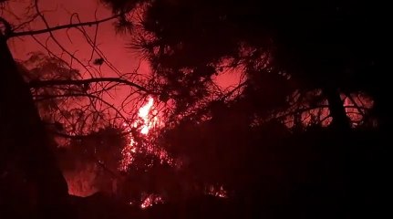 Fiamme a due passi da una villa in località Villamena tra Pizzo e Vibo Marina