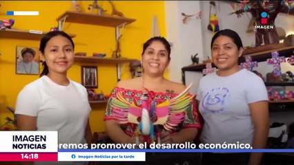 Miembros del CCE firman la Iniciativa Oaxaca