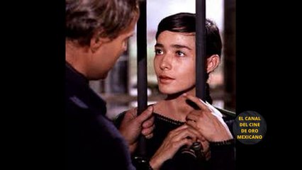 Bella actriz del Cine de Oro nació el mismo día que Marlon Brando pero nunca consiguió su amor