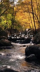 har chez Khuda sa Mang li ✨ Islamic status