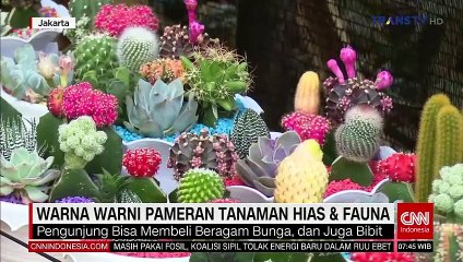 GOOD MORNING WEEKEND  373 LIVE