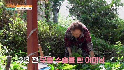 일하던 중 인대 부상을 당한 아버님! 남다른 사연 있는 노부부의 건강 책임지기