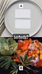 Makan Seimbang: Tips Pemilihan Makanan Sehari-hari