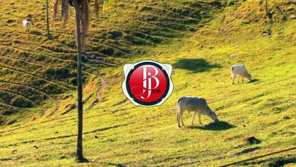 BJ & DONNY - JUMP HIGHER (Indie Music Collaboration Project)