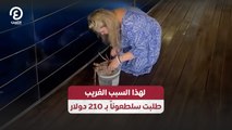 لهذا السبب الغريب طلبت سلطعوناً بـ 210 دولار