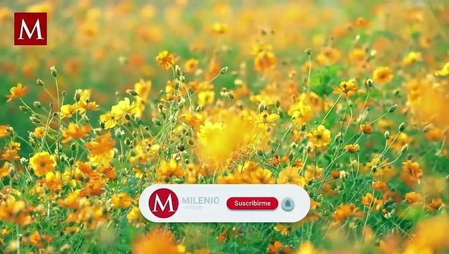 ¿Cuáles son las deudas por las que te pueden embargar y qué bienes no se pueden llevar?