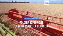 Polonia está dispuesta al diálogo sobre el tránsito de grano si Ucrania retira denuncia ante OMC