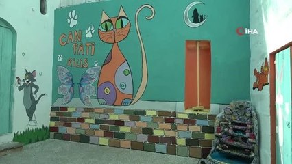 Sokak Hayvanlarına 15 Yıldır Babalık Yapan Hayvansever