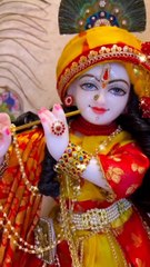 Jai shri krishna