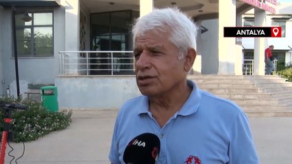 Doğum yapan köpek balığı sandılar, gerçek ay balığı çıktı