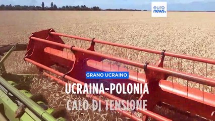 Grano ucraino: Polonia pronta ai negoziati, se l'Ucraina ritira la denuncia