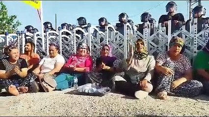 Agrobay Seracı işçileri sonuç bekliyor: İşçiyiz haklıyız kazanacağız
