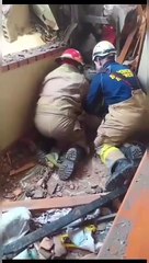 Cadela desapareceu após explosão de armazém de pólvora na Colômbia