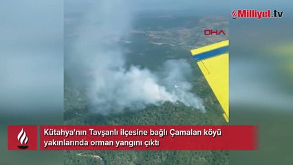 Kütahya'da orman yangını! Havadan karadan müdahale