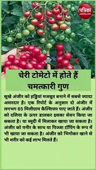 सेहत के लिए चमत्कारी है चेरी टमाटर, हार्ट सहित कई बड़ी बीमारियों में है लाभकारी