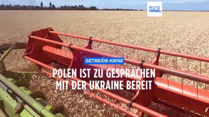 Polens Regierung und der Getreide-Konflikt mit Kiew: Nur bedingt gesprächsbereit