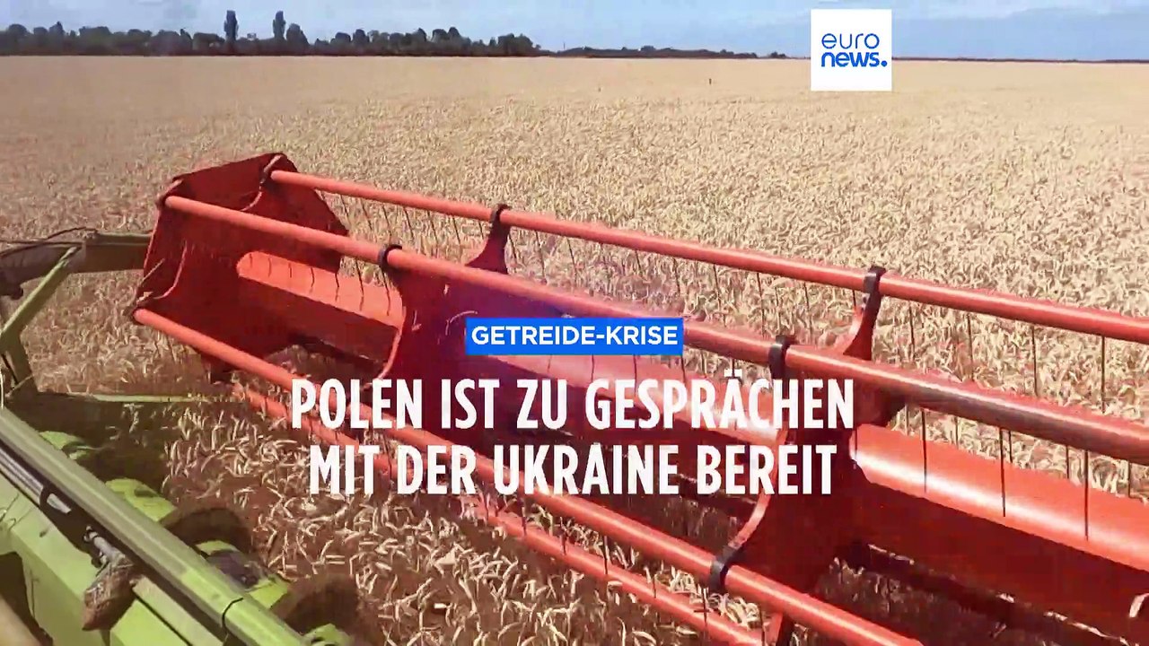 Polens Regierung und der Getreide-Konflikt mit Kiew: Nur bedingt gesprächsbereit