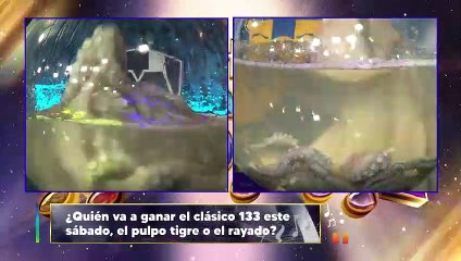 Le juegan pesada broma a Datsy