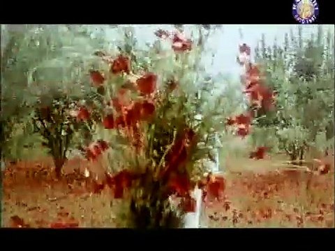 Guche Lage Hain Kehne / Shailendra Singh/1979 Taraana