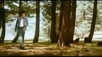 Meri Dilruba / Shailendra Singh /1979Taraana
