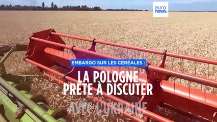 Embargo sur les céréales : la Pologne est prête à discuter avec l'Ukraine