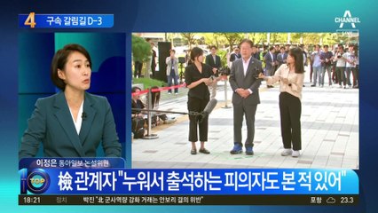 구속 기로에 선 이재명…영장심사 당일 출석할 듯