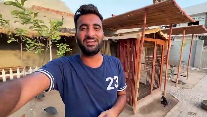 Ye Kon sa Parinda Agea Mini Zoo MainBht he Piara hai