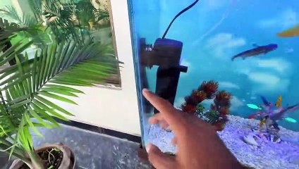 Roach K Liey Fan Or Spot Stand Bhi Lag Gea