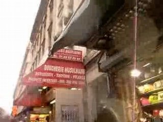 Caminatas con charlie