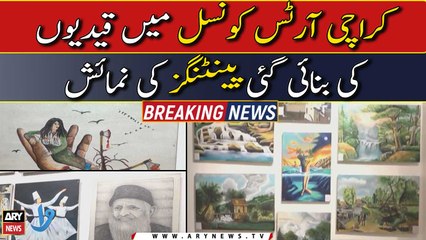 Paintings' exhibition made by prisoners at Karachi Arts Council