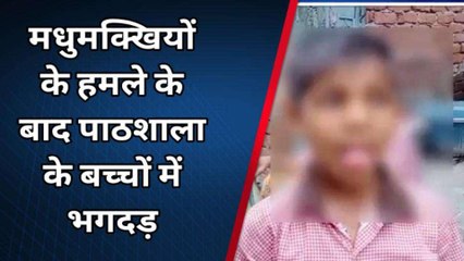 मेरठ: मधुमक्खियों के हमले के बाद प्राइमरी पाठशाला में मची भगदड़, कई छात्र घायल