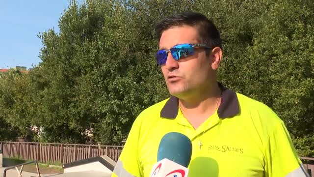 Los nidos de la avispa velutina aumentan este verano en Galicia