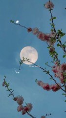 mujhai Allah Janta hai || Islamic quotes || Islamic status