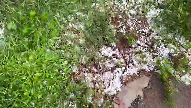 Maltempo, grandine a Cinisello Balsamo