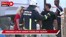 Antalya’da orman yangını: Teknelere sıçradı