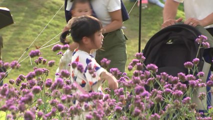 "가을바람 부니 나가고파"...야외 전시회 찾는 시민들 / YTN