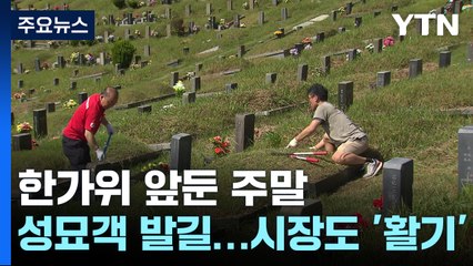한가위 앞두고 성묘객 줄이어...전통시장도 '활기' / YTN