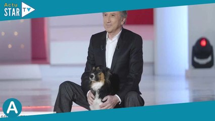 Michel Drucker  mais où est passée sa chienne Isia  Il donne de ses nouvelles !