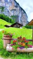 -- Beautiful Nature Of Switzerland --Beautiful Swiss Nature Relaxing Music Video _short 3(360P)