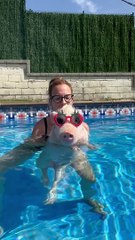 Roxy And Mom Cool Off In The Pool