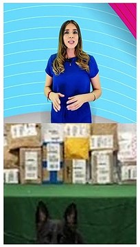 Gracias a una llamada anónima se logró asegurar diversos paquetes de droga que serían enviados por paquetería #TuNotiReel