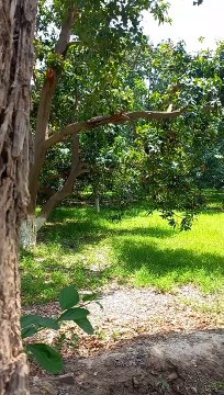 amazing nature scenery | Instant Relief | Calming Video | Peaceful View