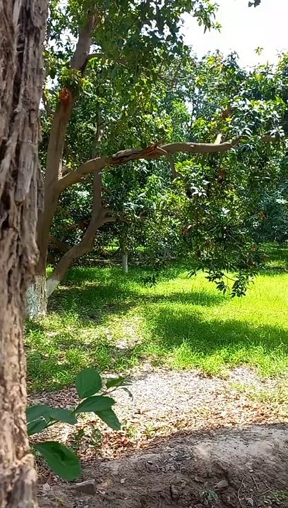 amazing nature scenery | Instant Relief | Calming Video | Peaceful View