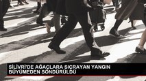 Silivri'de Tarla Yanında Ağaçlarda Yangın Çıktı