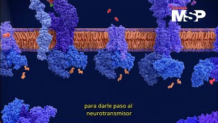Día Mundial de la Narcolepsia: ¿Cómo funciona?