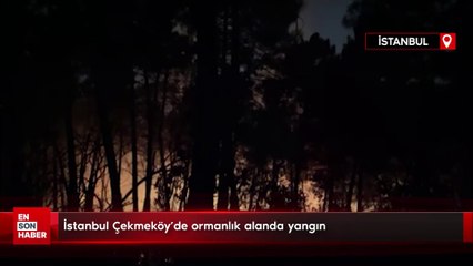 İstanbul Çekmeköy'de ormanlık alanda yangın