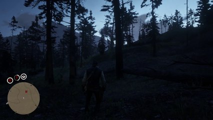 Red Dead Redemption 2 Pc Gameplay Part 4